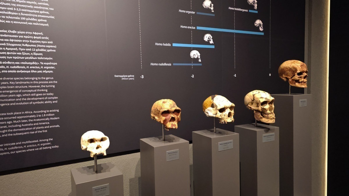 Σπήλαιο Πετραλώνων